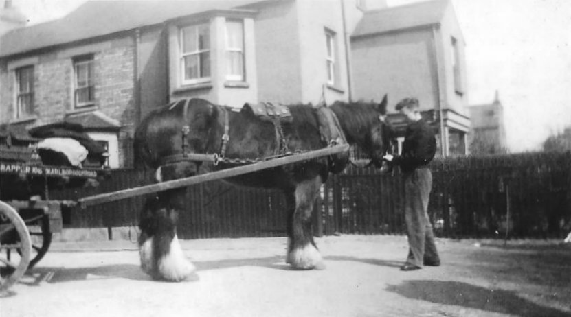 Crapper's cart, 169 Marlborough Road