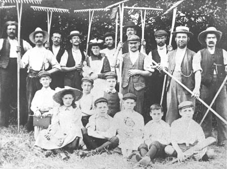 Haymaking Marlborough Road 1900