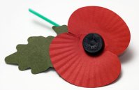 Remembrance day poppy 007